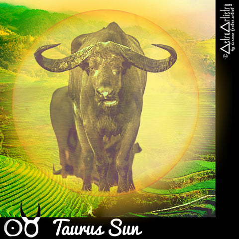 DIGITAL | square sticker | TAURUS SUN