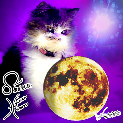DIGITAL | square sticker | LEO SUN | pisces moon | 2022