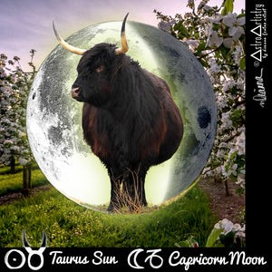 DIGITAL | square sticker | TAURUS SUN | capricorn moon
