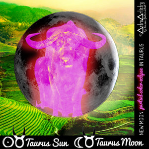 DIGITAL | square sticker | TAURUS SUN | taurus moon