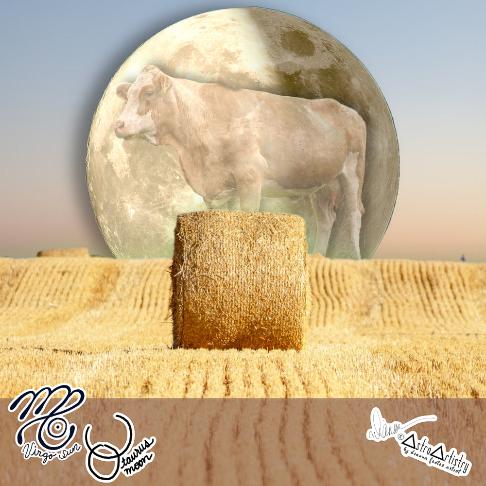 DIGITAL | square sticker | VIRGO SUN | taurus moon | 2022