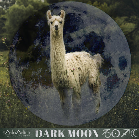 DIGITAL | square sticker | CAPRICORN SUN | sagittarius moon