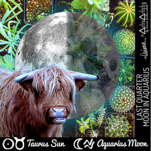 DIGITAL | square sticker | TAURUS SUN | aquarius moon